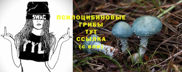 дживик Яранск