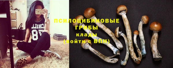 дживик Яранск
