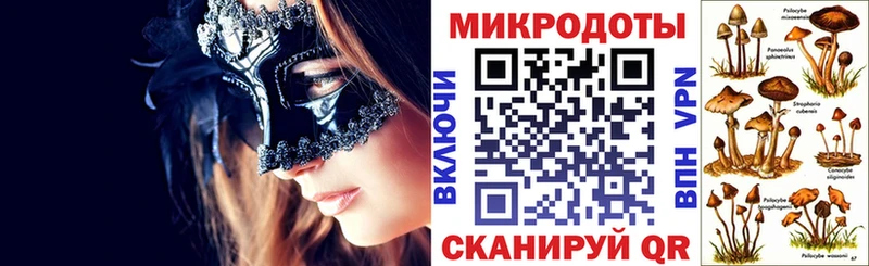 mega зеркало  Владимир  Псилоцибиновые грибы мицелий 
